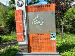 -卧龙中华大熊猫苑神树坪基地