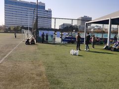 -上海英国外籍人员子女学校(浦西校区)