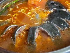 -弘烨 贵州酸汤 鱼火锅(东财店)