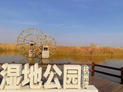 -宁波杭州湾国家湿地公园