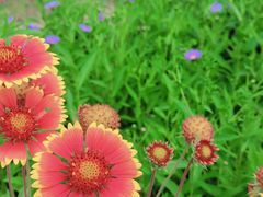 -永定河休闲森林公园