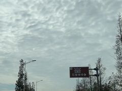 -苏州太湖湖滨国家湿地公园