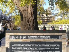 -北京石刻艺术博物馆(五塔寺)