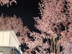 -首开·龙湖成都西宸天街