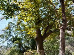 -南宁花花大世界景区