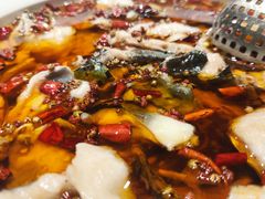 水煮鱼-宏宴·新京菜(望京店)