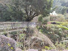 -雁南飞茶田景区