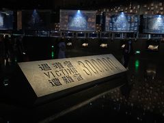 -侵华日军南京大屠杀遇难同胞纪念馆-停车场