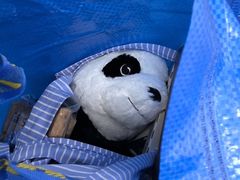 -宜家家居(高新商场店)