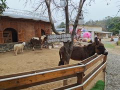 -HERRE·FARM 赫尔露营农场·团建聚会包场