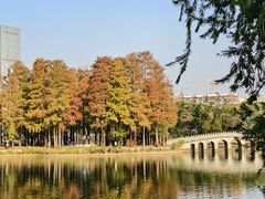 -四海公园(南山区)