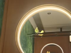 -小菜园新徽菜(青岛市南万象城店)