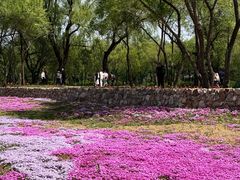 -北陵公园