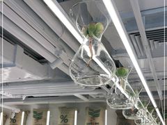 -% Arabica阿拉比卡咖啡(前滩太古里店)