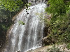 -大围山国家森林公园