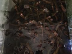 -老梅园大虾城(河西店)