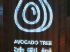-油梨树AVOCADO TREE(嘉里中心店)