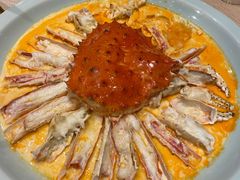 -诺莱仕游艇会