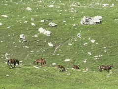 -新疆那拉提国家旅游度假区