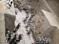 -秦始皇帝陵博物院(兵马俑)