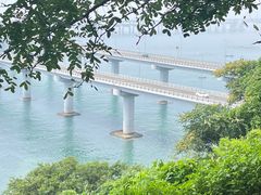 -星海湾跨海大桥