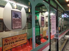 -猫咪博物馆(顶澳仔猫街店)