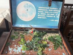 -上海鲁迅故居