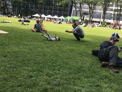 -Lady M Cake Boutique(麦迪逊大道店)