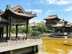 -善化寺