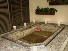 -春晖园度假酒店温泉