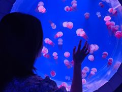 -南昌海洋公园