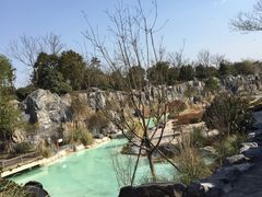 -吴淞炮台湾湿地森林公园烧烤区