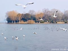 -云龙湖旅游景区