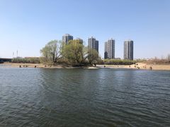 -长白岛森林公园