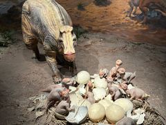 -自贡恐龙博物馆