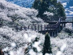 -原乡小镇度假乐园