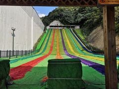 -梦幻奥陶纪景区