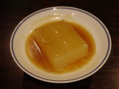 素东坡-龙井草堂