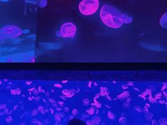 -波塞冬海底世界