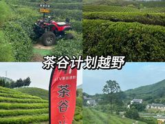 -老李家土菜馆·安吉地标美食