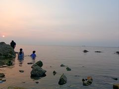 -养马岛旅游度假区