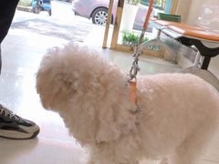 -仁华宠物医院(青羊店)