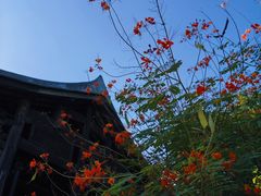 -观澜山水田园