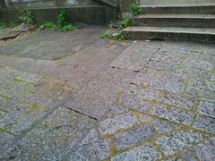 android_upload_pic-上海佘山国家森林公园西佘山园