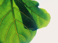 -转山咖啡(松柏社区店)