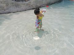 -重庆海昌加勒比海水世界