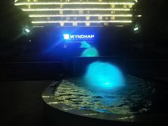 -重庆悦来温德姆酒店