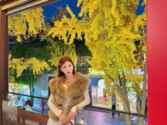 -奇芳阁·百年清真南京菜(夫子庙店)
