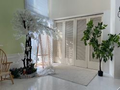 -iplus爱家高端孕妇摄影