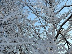 -沈阳奥体冰雪嘉年华